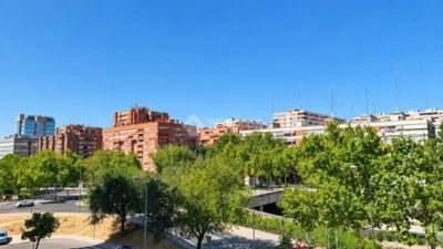 Apartment in Pilar photo 26
