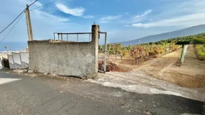 Rustic house in Arafo photo 39