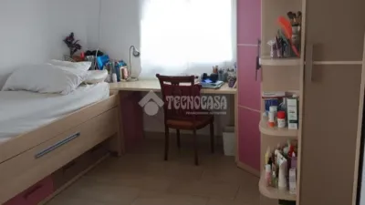 Apartment in La Palmera-Reina Mercedes photo 7