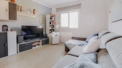 Apartment in Can Bassa-Palou photo 4