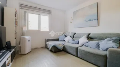 Apartment in Can Bassa-Palou photo 6
