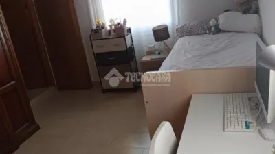 Apartment in La Palmera-Reina Mercedes photo 14