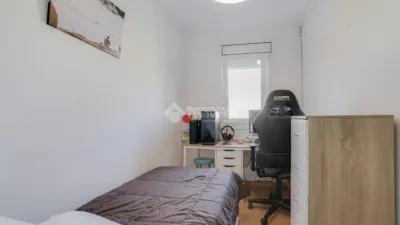 Apartment in Can Bassa-Palou photo 22
