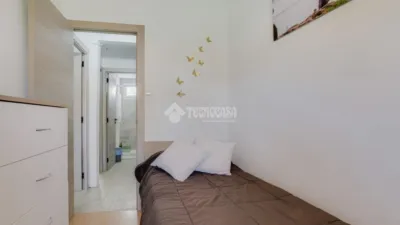 Apartment in Can Bassa-Palou photo 20
