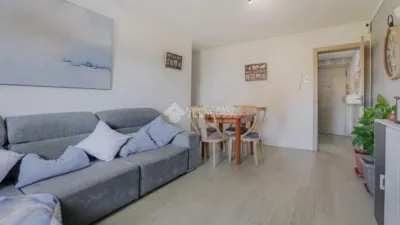 Apartment in Can Bassa-Palou photo 5
