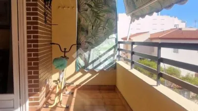 Apartment in Campoamor photo 4