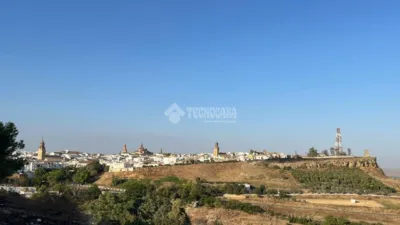Apartment in Carmona photo 17