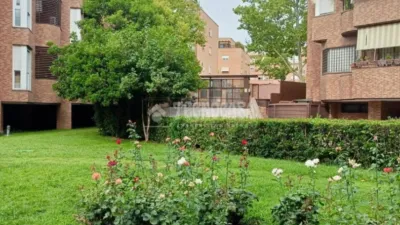 Piso en alquiler en Corralejos - Imagen 20