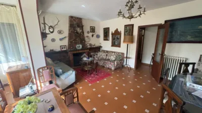 Miniatura 10