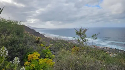 Finca rústica en venta en Calle Polígono 2 Parcela 299 Lomo Quintanilla. Arucas (, Número 2, Núcleo (Arucas) de 179.900 €
