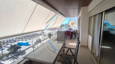Apartment on the 1st Line of the Beach photo 20
