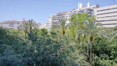 Apartment on Passeig de Mallorca photo 22