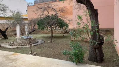 House in Andratx Town photo 35