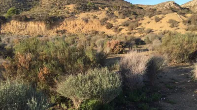 Terreno en venta en Borisa - View 2