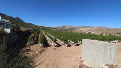 Terreno en venta en Partida de La Boquera - Vista 2
