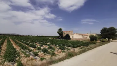 House on Carretera Crevillente photo 2
