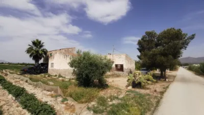 House on Carretera Crevillente photo 4
