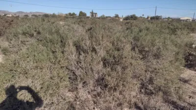 Terreno en venta en Llano de San Jose - Vista 2