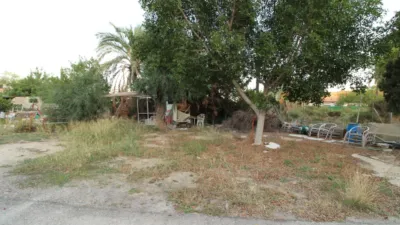 Casa – Elx - Elche - Vista 3