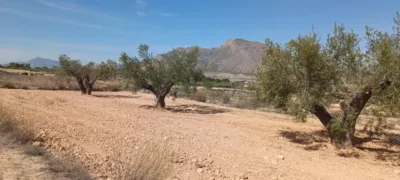 Casa – Orihuela, El Badén - Vista 2