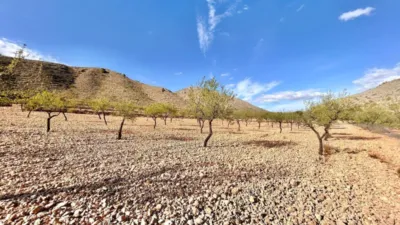 Terreno en venta en Barbarroja - Vista 2