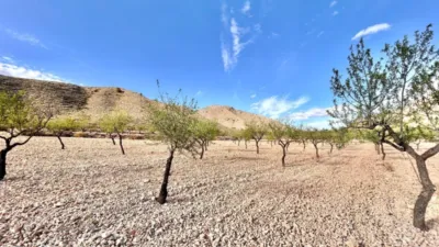Terreno en venta en Barbarroja - Vista 4