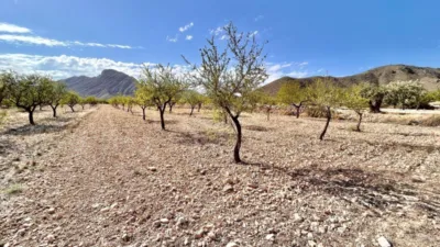 Terreno en venta en Barbarroja - Vista 2