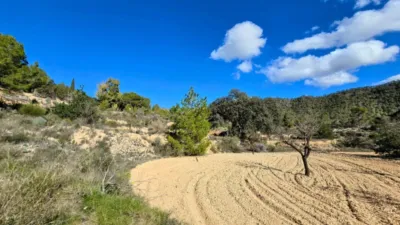 Terreno en venta en Monóvar - Vista 2