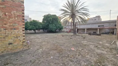 Terreno en venta en Aspe - Vista 2
