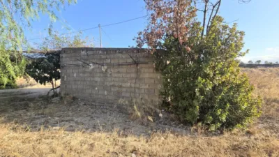 House in Abanilla photo 8