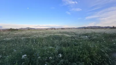 Terreno en venta en Pedanías Este - Vista 2