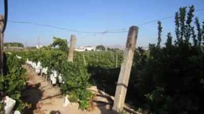 Terreno en venta en Casas de Sala - Vista 3