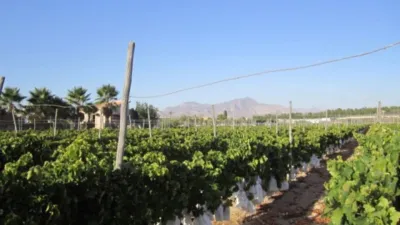 Terreno en venta en Casas de Sala - Vista 4