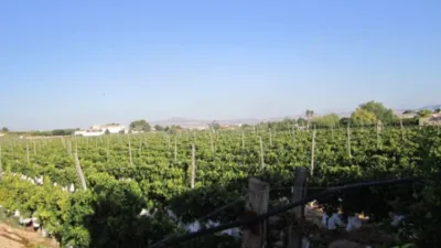 Terreno en venta en Casas de Sala - Vista 5
