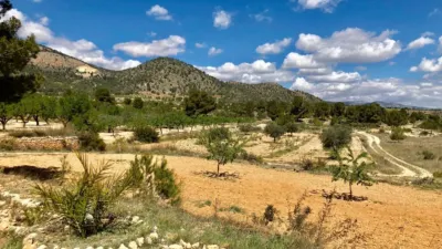 Terreno en venta en La Romaneta - Vista 2