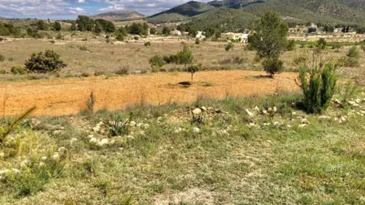 Terreno en venta en La Romaneta - Vista 5
