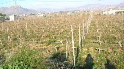Rustic finca in Tolomo photo 7
