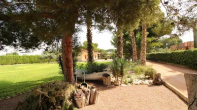 Chalet in Mutxamel photo 26