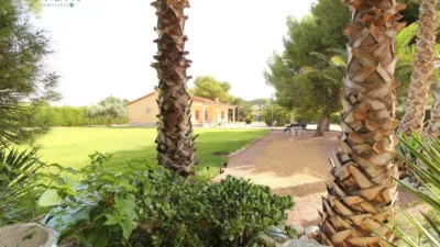 Chalet in Mutxamel photo 27