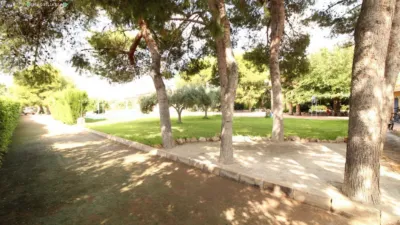 Chalet in Mutxamel photo 28