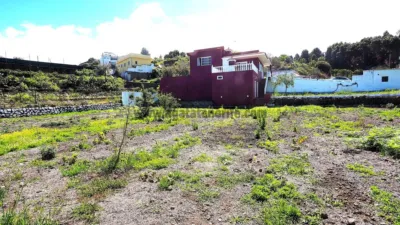 Rustic Finca on Camino Penichet photo 8