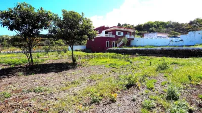 Rustic Finca on Camino Penichet photo 9