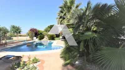 Chalet on Carretera de Castalla, San Vicente del Raspeig photo 64