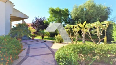 Chalet on Carretera de Castalla, San Vicente del Raspeig photo 65