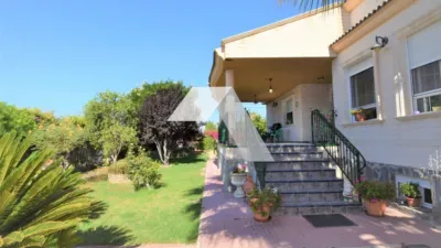Chalet on Carretera de Castalla, San Vicente del Raspeig photo 7