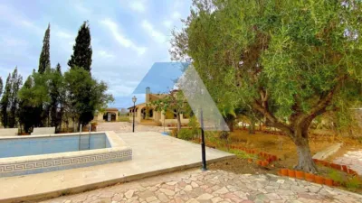 Chalet in Ant Vicent del Raspeig - Los Girasoles photo 3