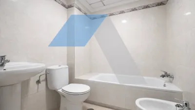 Apartment in San Vicente del Raspeig photo 15