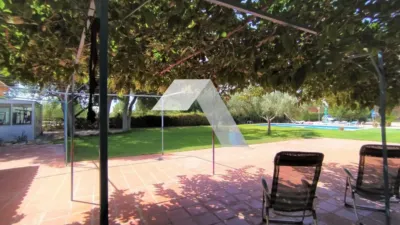Chalet in Mutxamel photo 14