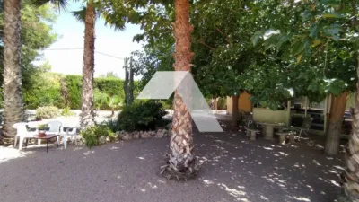 Chalet in Mutxamel photo 25