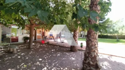 Chalet in Mutxamel photo 26